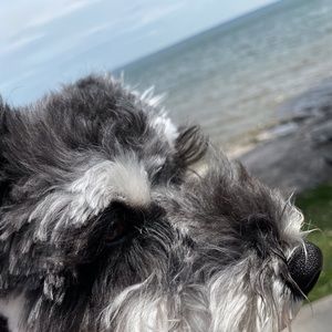 Meet your Posher, Debra